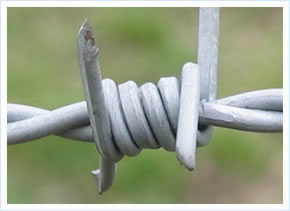 Barbed Wire